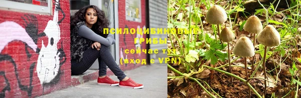 гидра Болотное