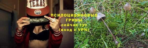 героин Богданович
