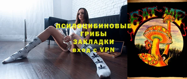 шишки Богородицк