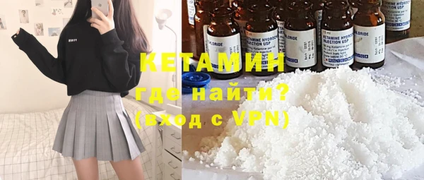 шишки Богородицк