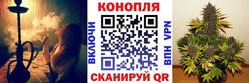 блэк спрут ссылки  Горняк  Бошки марихуана гибрид  как найти наркотики 